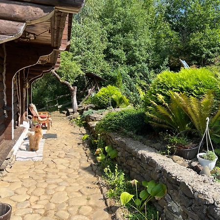 Vila Zelenyj Raj Pashkivtsi  Exteriér fotografie