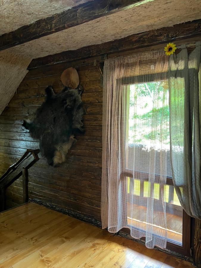 Vila Zelenyj Raj Pashkivtsi  Exteriér fotografie