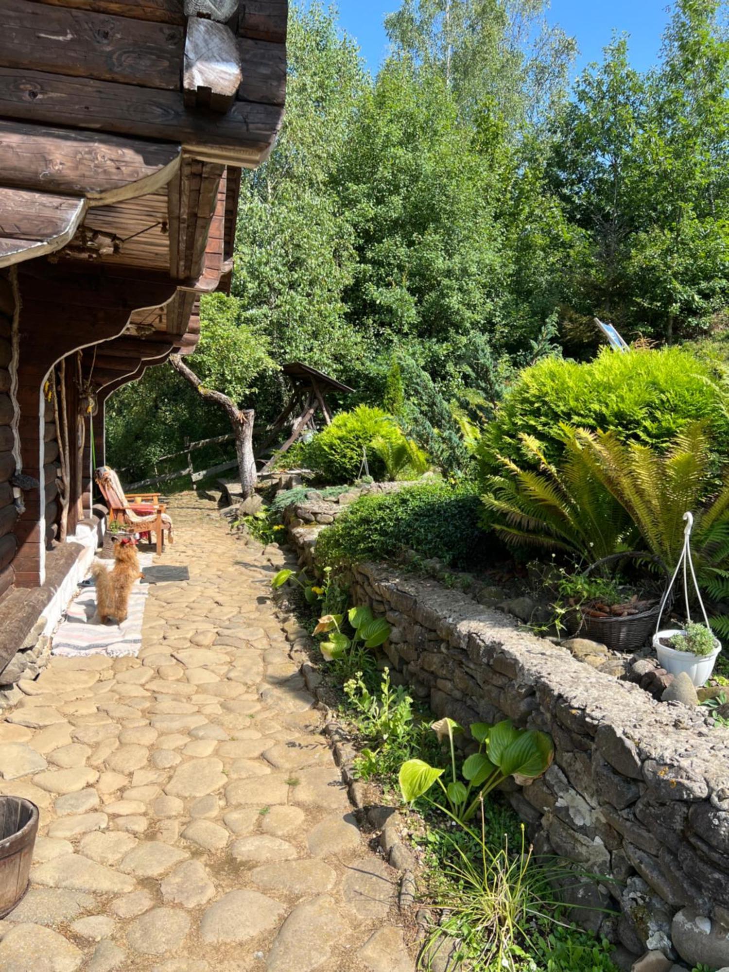 Vila Zelenyj Raj Pashkivtsi  Exteriér fotografie